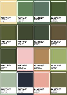 pantone's color chart with the names and colors for each one in it