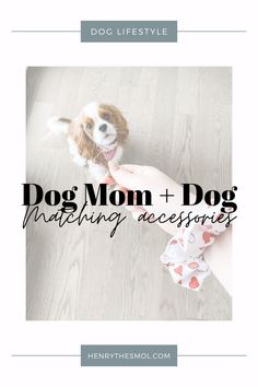 a person holding a dog's hand with the words, dog mom and dog matching accessories