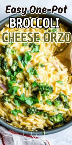 easy one pot broccoli cheese orzo