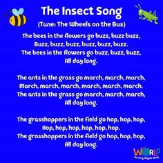 the insect song is shown in blue