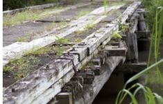 an old wooden bridge with weeds growing on it