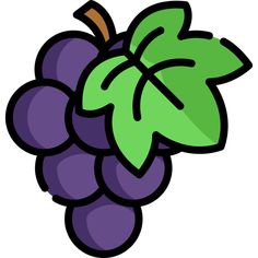 a bunch of grapes with green leaves on the top and purple berries on the bottom