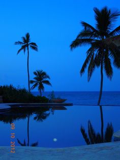 palm trees are reflected in a pool at dusk with the moon rising over the ocean