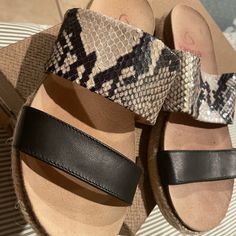 Sandal’s Snake/Black New Snake Sandals, Beige Espadrilles, Cross Shoes, Tan Espadrilles, Snake Black, Lace Espadrilles, White Platform Sandals, Womens Espadrilles Wedges, Heeled Espadrilles