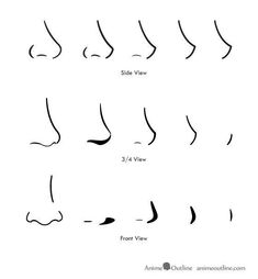 the different types of nose shapes and how to draw them