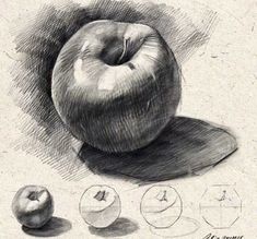 pencil drawing of an apple and its stages