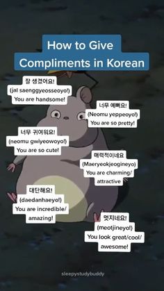 a cartoon character with the words'how to give compliments in korean'written above it