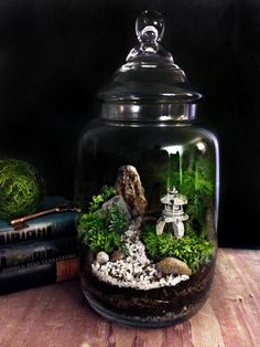 a glass jar filled with plants and rocks on top of a table next to books