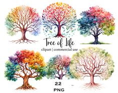 the tree of life clipart commercial use is available for all types of projects and designs