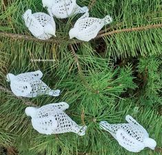 four white plastic fish ornaments hanging from a pine tree