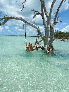 a woman is sitting on a swing in the water near a tree that has fallen