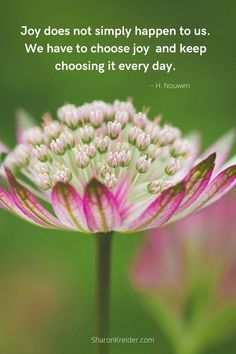 Find Joy In Every Day Quotes, Being Joyful Quotes, Bring Joy To Others Quotes, Joy And Peace Quotes, Have A Joyful Day, Simply Happy Quotes, Be Joyful Always, Joyful Quotes Happiness, Quotes About Joy Happiness