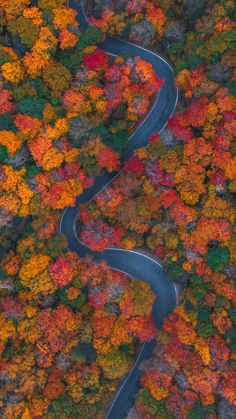 an aerial view of a winding road surrounded by colorful trees