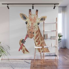 a giraffe eating from a red object in its mouth wall mural print