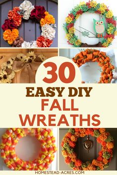 Love all things fall? Craft beautiful wreaths for the season! Enjoy wooden wreaths, or try a cute fall gnome wreath to liven up your space. Holiday wreath DIY projects, including budget-friendly options like DIY dollar store fall wreath ideas, are perfect for any home. Farmhouse decor fall styles, herb wreaths, and corn husk wreath creations can add some fall fun to your front porch. Herb Wreaths, Fall Gnome Wreath, Diy Fall Wreath Ideas, Diy Fall Wreaths, Unique Fall Wreath, Fall Wreath Ideas, Corn Husk Wreath, Home Farmhouse Decor, Herb Wreath