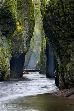 a river flowing between two large rocks in the middle of a forest filled with green moss