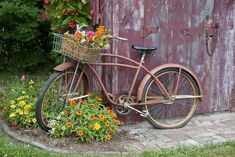 an old rusty bicycle parked next to a red barn with flowers growing out of it