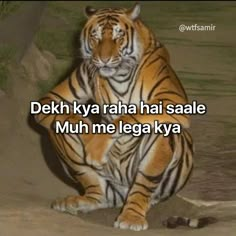 a tiger sitting on top of a dirt field with the words dekh kay raha hai