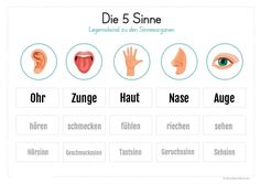 an info sheet with different parts of the human body and their corresponding names in german