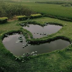 a heart shaped pond surrounded by water lilies in the middle of a lush green field