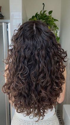 Curly Haircuts Long Layers, Wavy Hair Haircut Layers, Long Layers With Curly Hair, 2c Hair Cuts With Layers, 2b Hair Layers, Brown 2c Hair, V Shaped Haircut With Layers Curly Hair, 2c Hair Layers