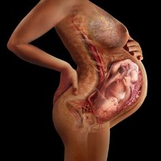 an image of a woman with her stomach exposed