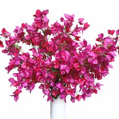 a white vase filled with purple flowers on top of a table