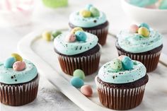 chocolate cupcakes decorated with blue frosting and candy eggs on a white plate