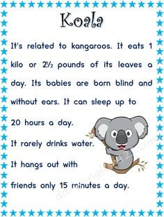 a koala poem is shown with blue stars