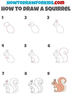 how to draw a squirrel step by step instructions for kids and beginners with pictures