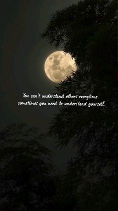 a full moon with the words, you can't understand that everyone sometimes needs to understand yourself