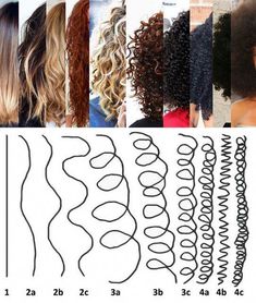 Cantu Hair Products, Curly Haircuts, Penteado Cabelo Curto, Types Of Curls, Permed Hairstyles