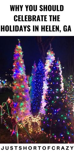 christmas trees are lit up with colorful lights and the words why you should celebrate the holidays in helen, ga just shot of crazy