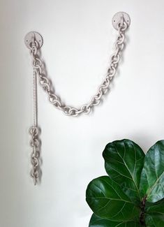 a large green plant sitting next to a metal chain wall hook on a white wall