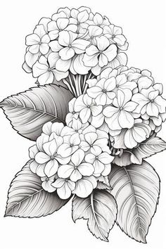 a bouquet of flowers with leaves on a white background royalty illustration for coloring book pages