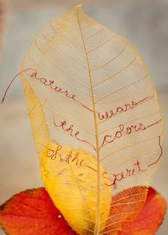 a yellow leaf with writing on it