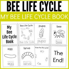 bee life cycle worksheet with the words bee life cycle in black and white