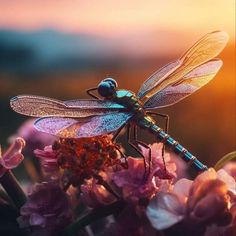 a blue and black dragonfly sitting on top of purple flowers with the sun in the background