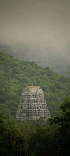 #tirumalatirupathi #ttd #venkateswaraswamy Balaji Wallpaper, Balaji God, Tirupati Temple, One Day Book, Tirupati Balaji, Indian Temple Architecture, Wallpaper For Android, Temple Photography, Peace Illustration