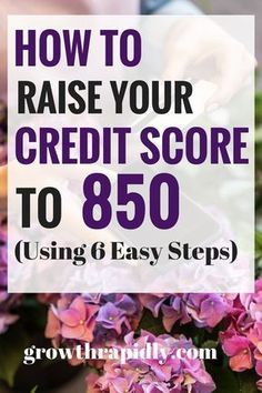 purple flowers with text overlay how to raise your credit score to 850 using 6 easy steps