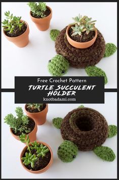 crochet turtle succulent holder is shown in three different views with the text, free crochet pattern