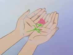 two hands holding a pink flower with green stems