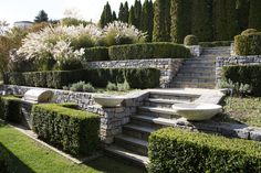 an outdoor garden area with stone steps and plants on the sides, surrounded by grass