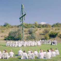 a group of people sitting on top of a lush green field next to a tall tree