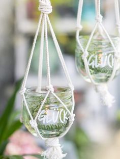 two hanging glass jars filled with green plants