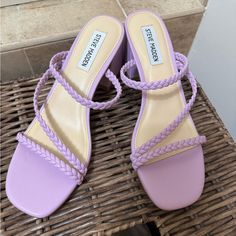 Purple Steve Madden Women’s Sandals Never Worn Color Purple, Women's Shoes Sandals, Steve Madden, Shoes Sandals, Violet, Women Shoes, Sandals, Purple, Women Shopping