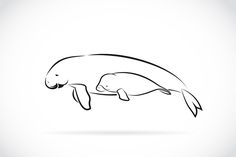 an animal that is swimming in the water, black and white drawing on a white background