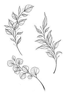 two branches with leaves drawn on them