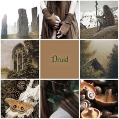 a collage of pictures with the words druid