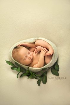 a newborn baby is curled up in a blanket with green leaves on the bottom and sides